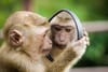 How to properly mirror a git repository