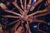 What my team and I learned when improving code quality in an existing codebase